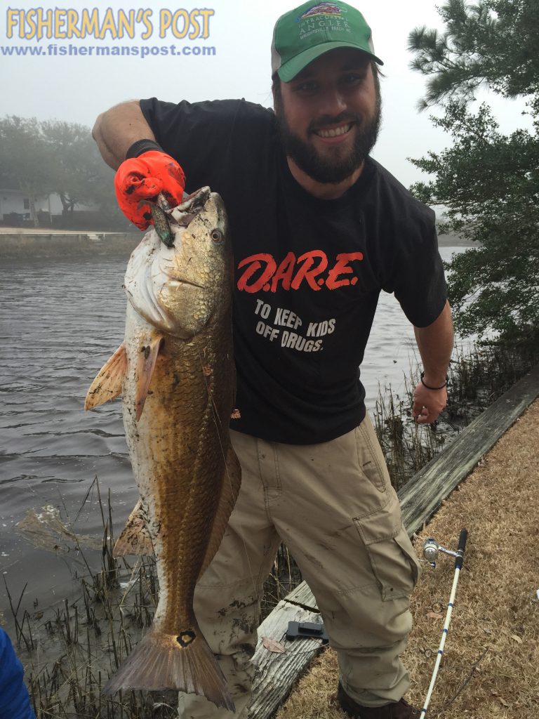 Ben Taylor with a 33" red drum he caught and released after it struck a swimbait in Taylors Creek at Beaufort.