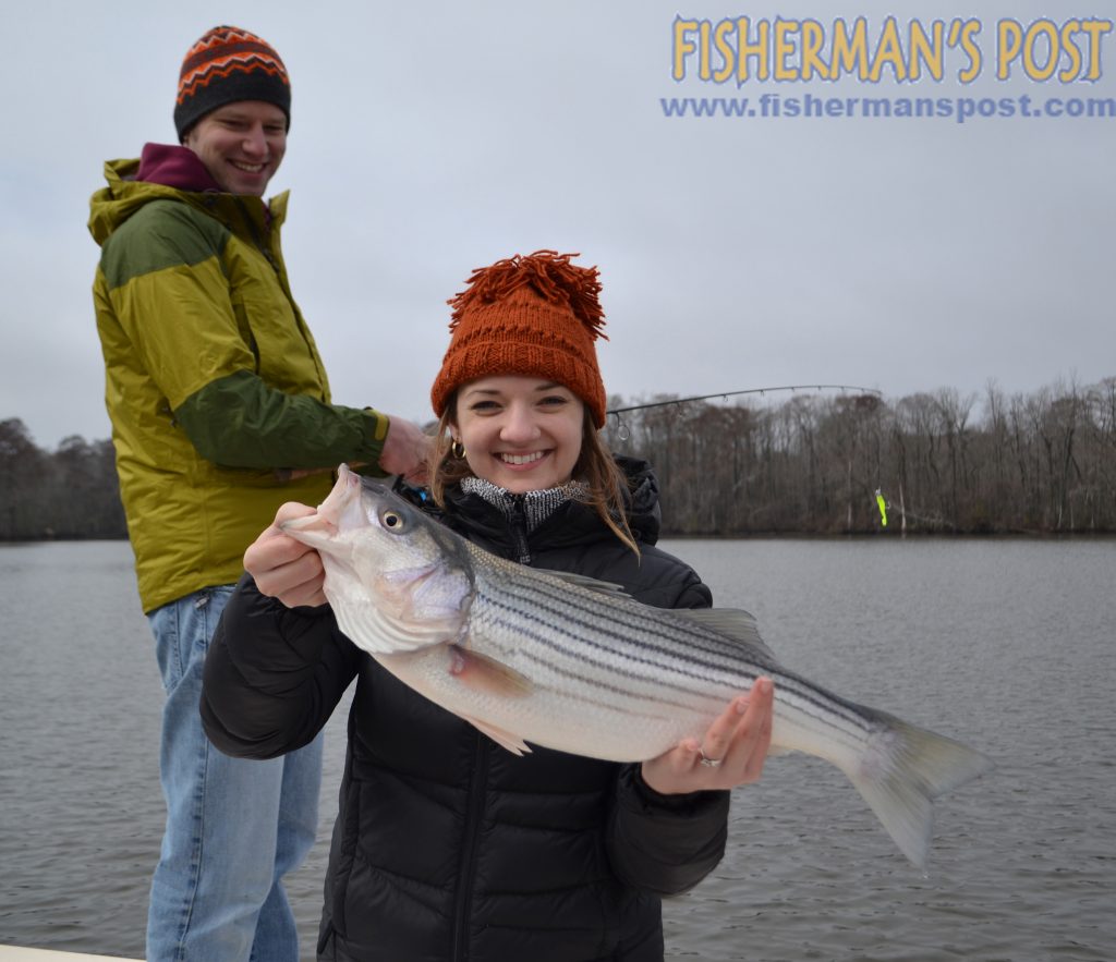 Liz Chappell, of Durham, with a lower Roanoke River striped bass that fell for a Z-Man soft bait while she was fishing with Capt. Richard Andrews of Tar-Pam Guide Service.