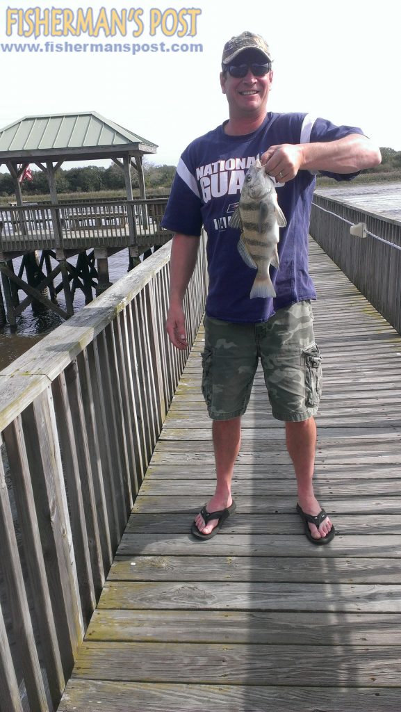 Billy Brougham, of Apex, NC, with a black drum that bit shrimp near Ocean Isle Beach.