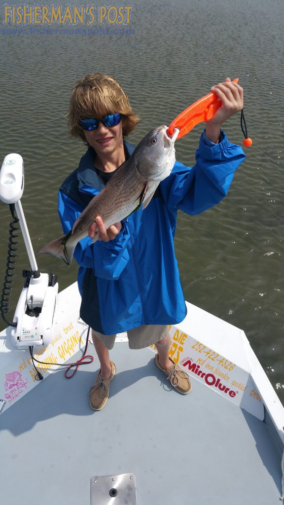 Mark Flynn with a 23" red drum that struck a Zoom Super Fluke in a marsh near Swansboro while he was fishing with Capt. Dale Collins of Fish or Die Charters.