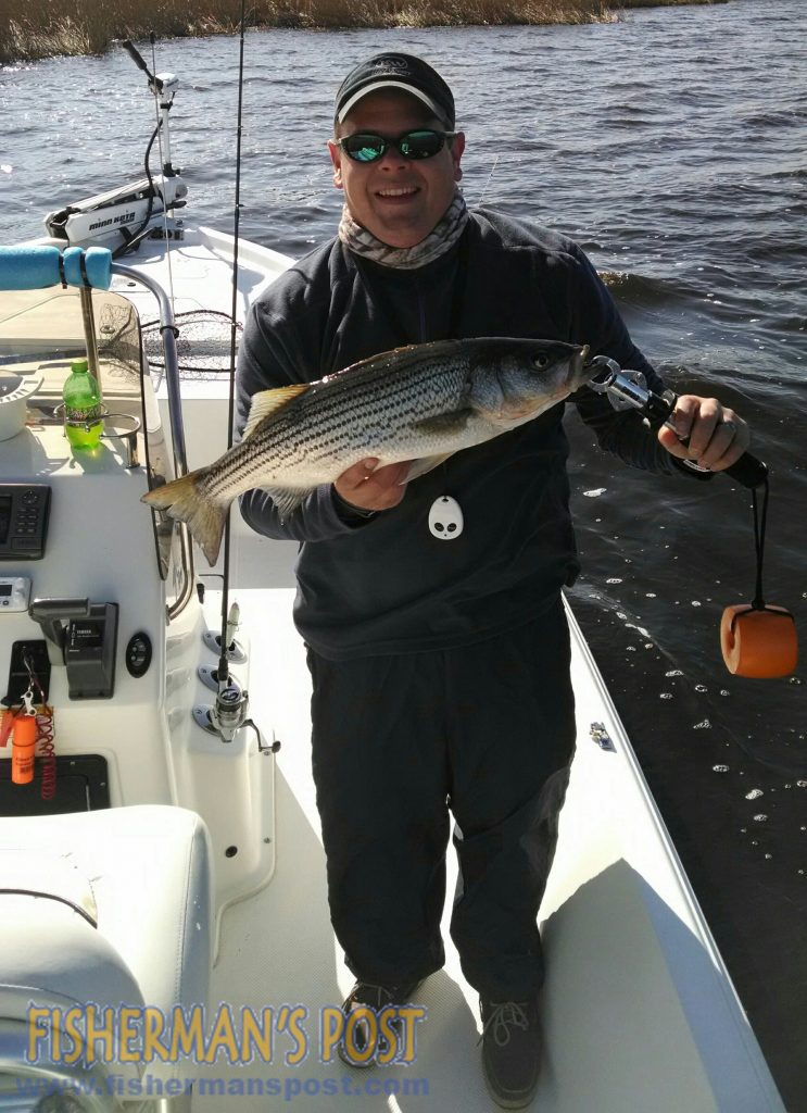 Kevin Dewar with a 23" striped bass that bit a weedless soft plastic near New Bern while he was fishing with Capt. D. Ashley King of Keep Castin' Charters.