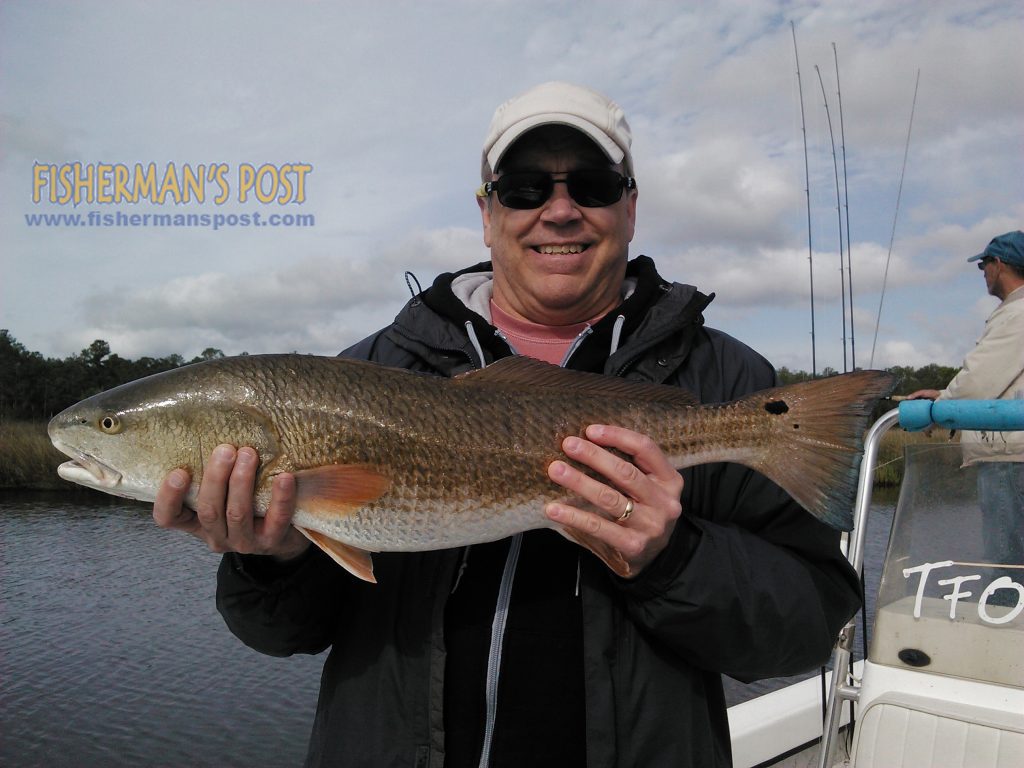 Gelnn Davies, of PA, with an over-slot red drum he landed off the lower Neuse River after it struck a soft plastic paddletail under a popping cork. He was fishing with Capt. Gary Dubiel of Spec Fever Guide Service.