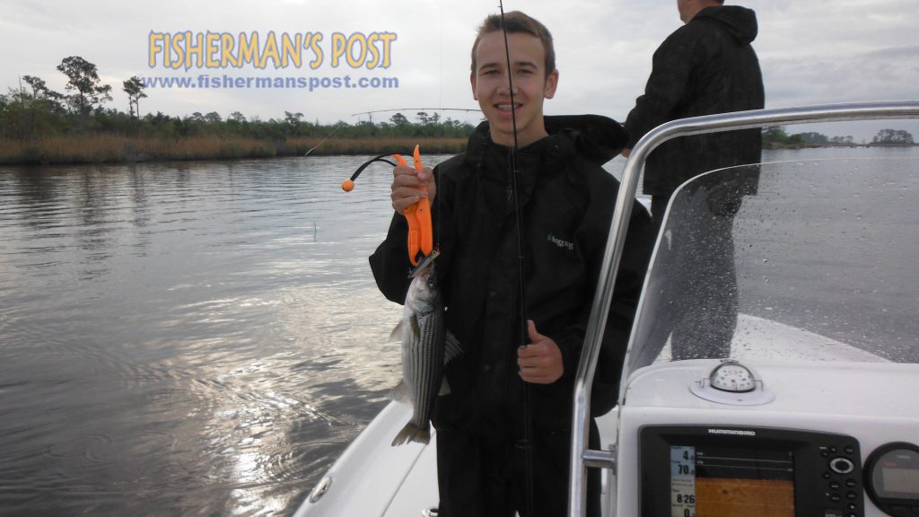 Tyler Lamm (age 13), of Wilson, NC, with his first striped bass, caught on a topwater plug while he was fishing the Neuse River with Capt. Dave Stewart of Knee Deep Custom Charters.