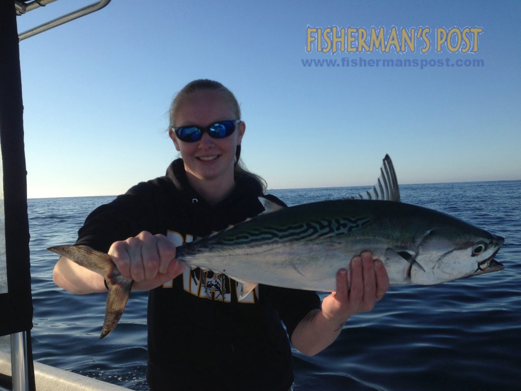 Lauren Caveness (age 14) with a false albacore that she caught and released after it chased down a gold Clarkspoon while she was trolling near AR-362 with her father on the "Miss Rachel."