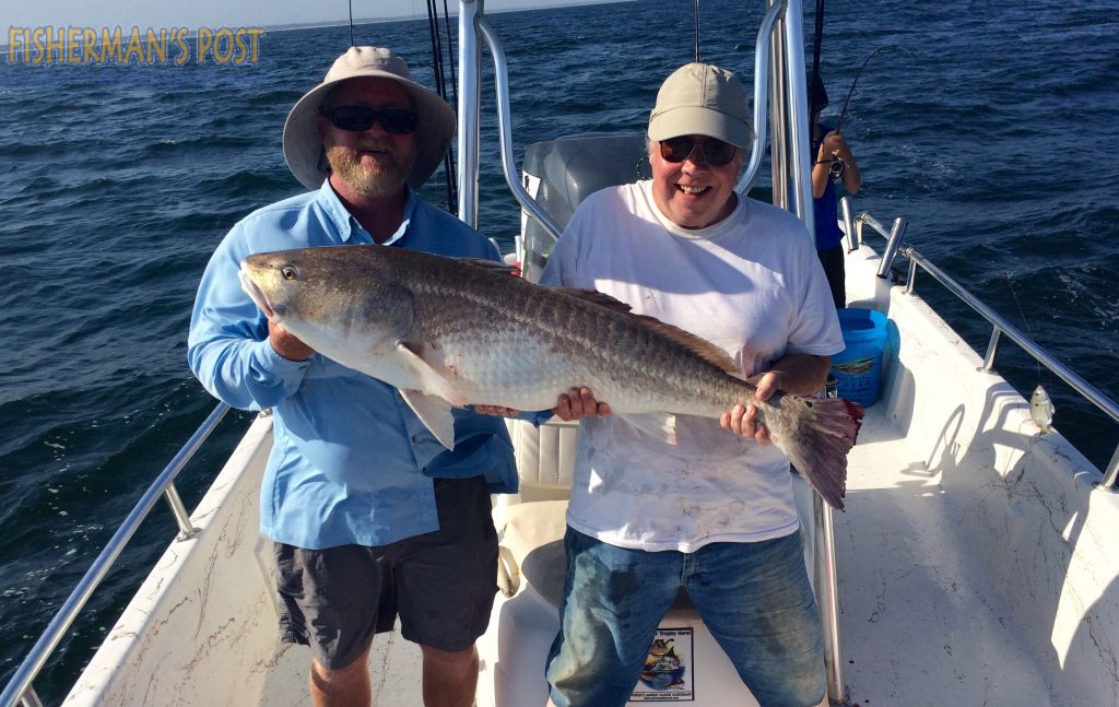 Capt. Robert Schoonmaker, of Carolina Explorer, and Jim Scheffel with a 48" red drum Scheffel caught and released after it struck a cut bait on a shark rig while they were fishing just off Carolina Beach.