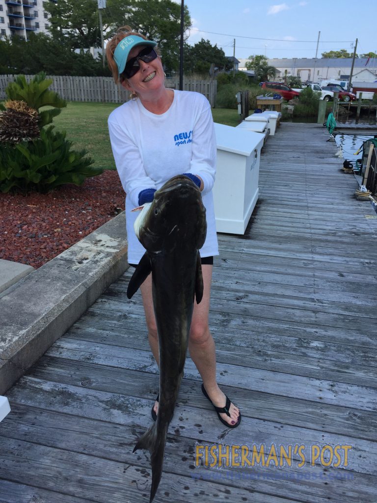 Wendy Hewett, of Garner, NC, with a 30 lb. cobia that bit a drifted live bait at AR-330 while she was fishing with her husband on the "Knot to Wendy."