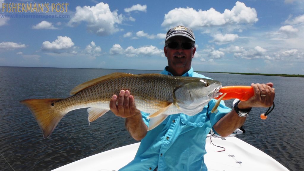 Mike Chipley, of Washington, DC, with a 32" red drum he caught and released after it struck a D.O.A. Deadly Combo rig in the lower Neuse River while he was fishing with Capt. Dave Stewart of Knee Deep Custom Charters.