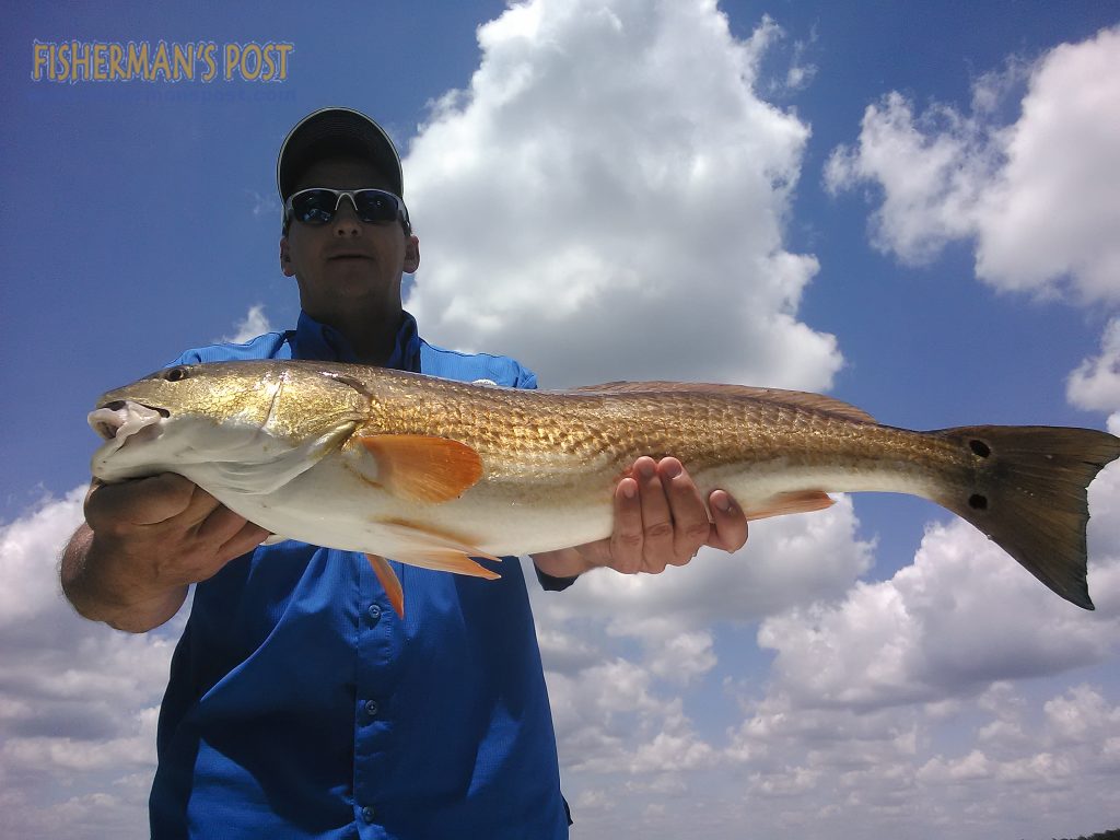 Barry Bond, of Pinehurst, NC, with a red drum that bit a live bait near Bald Head Island while he was fishing with Capt. Greer Hughes of Cool Runnings Charters.