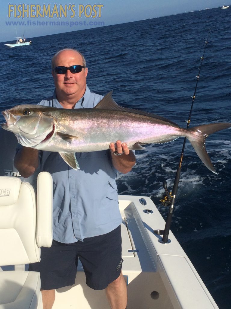 Donald Pierce, of Apex, NC, with a 20 lb. amberjack that attacked a live menhaden 6 miles off Bogue Inlet while he was fishing with Capt. Jonathan Garrett of On Point Fishing Charters.