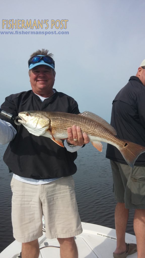 Jeff Wood with an upper-slot red drum he caught and released after it struck a topwater plug in the New River while he was fishing with Capt. Allen Jernigan of Breadman Ventures.