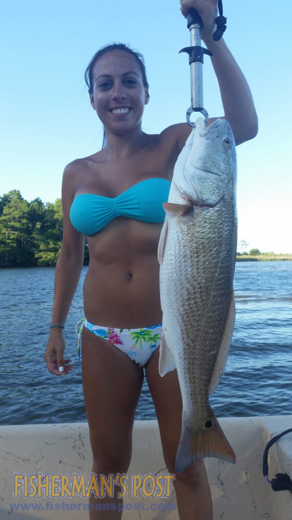 Angel Cuevas, of Wilmington, with a 27" red drum that attacked a live mud minnow while she was fishing near Sneads Ferry with Matt Markley.