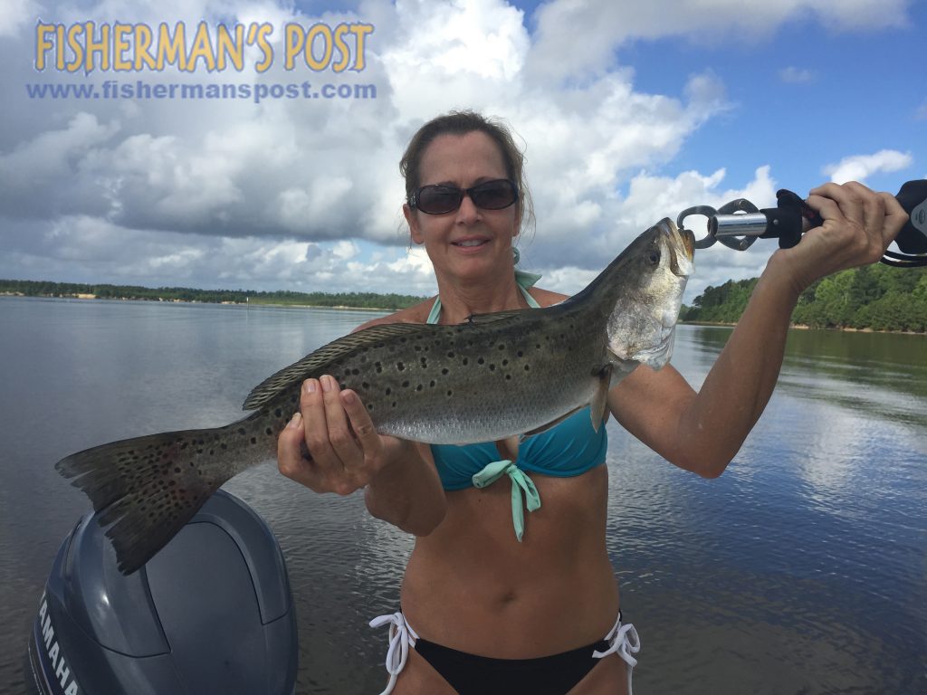 Kim Demoux with a fat speckled trout she landed after it struck a gold spoon while she was fishing the New River with her husband Andre.