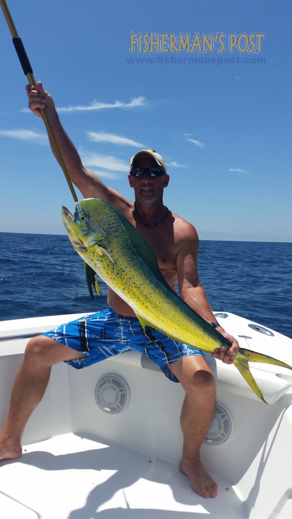 Ron Randall with a dolphin that struck a cigar minnow under a pink Blue Water Candy skirt 23 miles off Wrightsville Beach while he was fishing with Tom Gordo on the "Hi-Def."