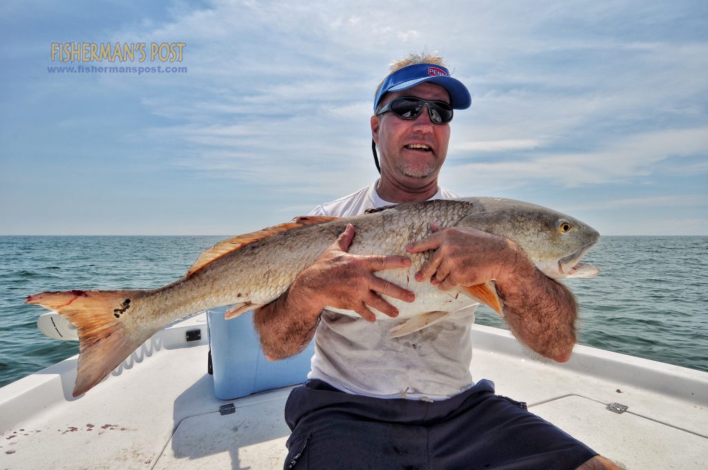 Don Meyer with his largest red drum, a 43" fish he caught and released at some nearshore structure off Carolina Beach while he was fishing with his son-in-law Capt. Scott Hampton.