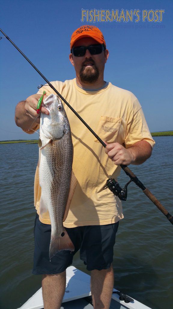 Justin Wood with an upper-slot red drum that struck a Falling Tide spinnerbait in a Swansboro marsh while he was fishing with Capt. Dale Collins of Fish or Die Charters.