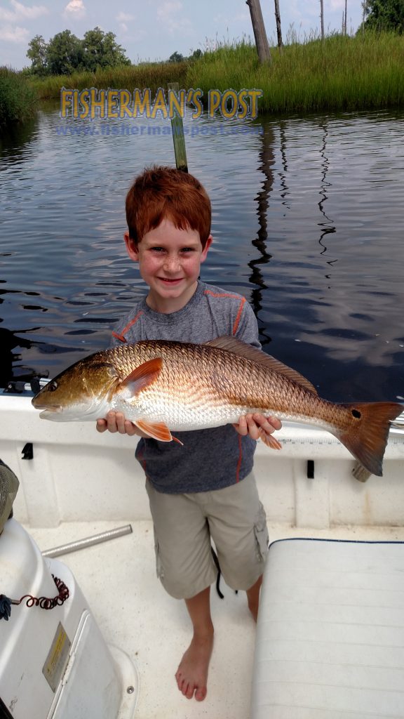 Bair Kuneyl (age7), from Wilmington, with a 26" red drum he caught while fishing the Cape Fear River with a live finger mullet.