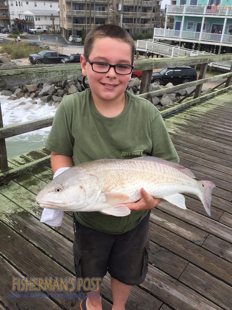 Aiden Ceisner (age 9), of Raleigh, with a 29" red drum he hooked from Carolina Beach Pier on a live finger mullet and released with a drop net after the photo.