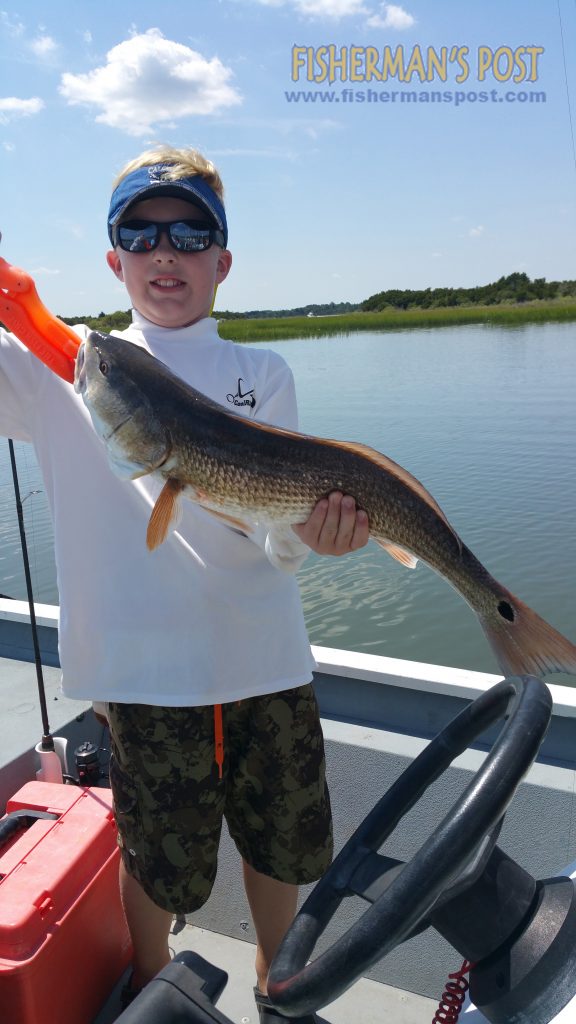 Tyson Blalock with a 26" red drum he landed after it fell for a Carolina-rigged finger mullet in a Swansboro marsh. He was fishing with Capt. Dale Collins of Fish or Die Charters.