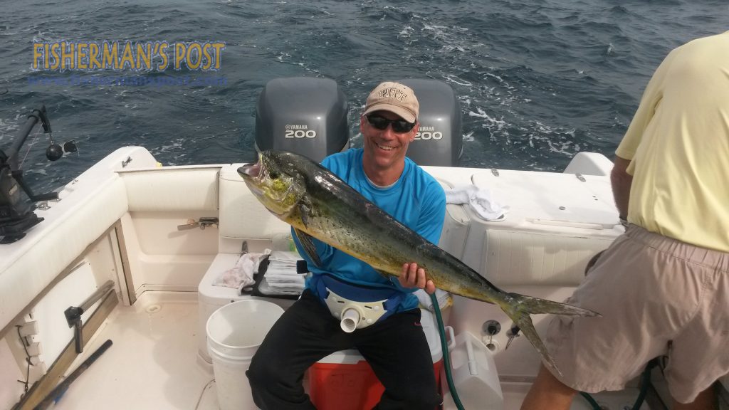 Aldo Ciotti with his first dolphin, hooked on a Lucky Dawg Squid while he was fishing 18 miles off Topsail Inlet with Capt. Ike Leggett of Hooked Up Charters.