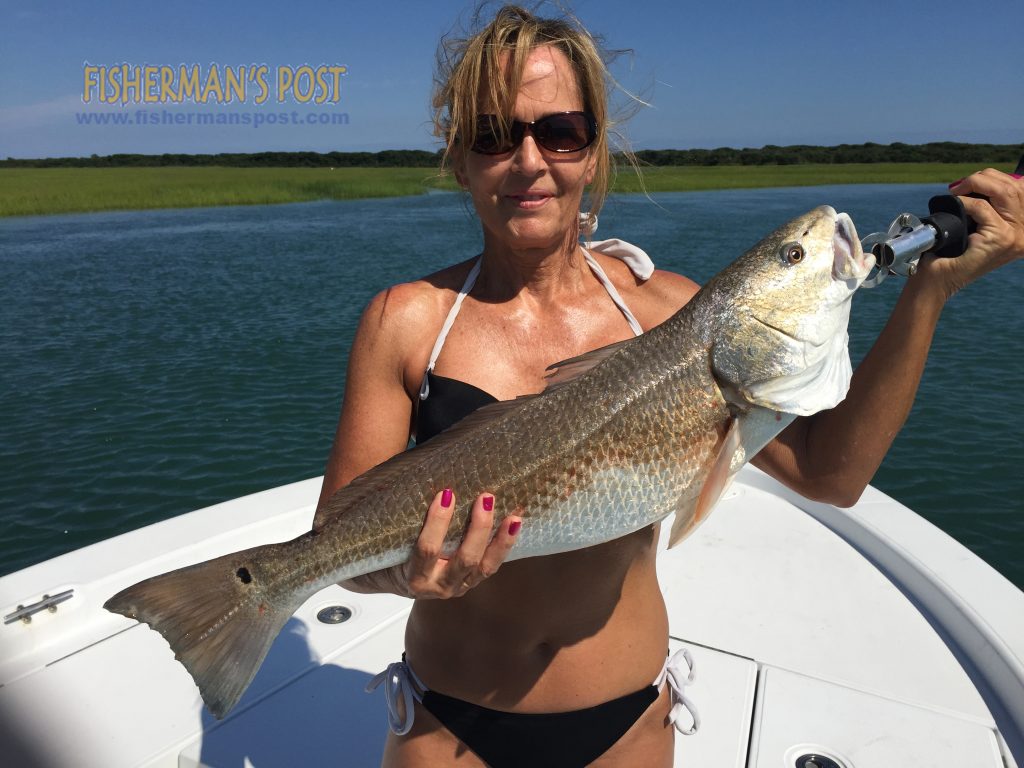 Kim Demoux, of Jacksonville, with a 26" red drum she caught and released in Browns Inlet after it attacked a live finger mullet in a marsh cut.