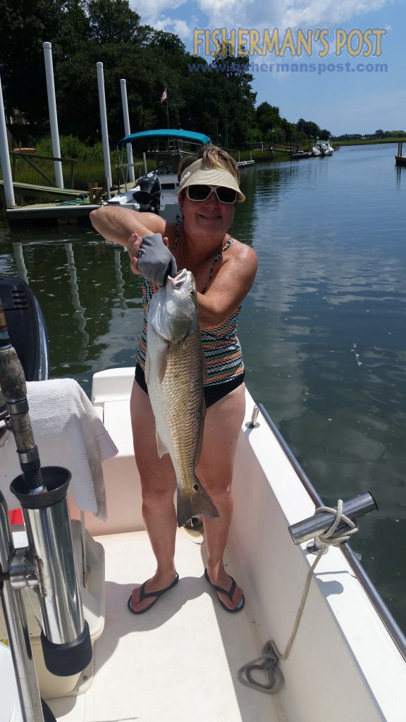 Kathie Kader with a 26.75" red drum she hooked on a Carolina-rigged finger mullet while fishing behind Lea Island.