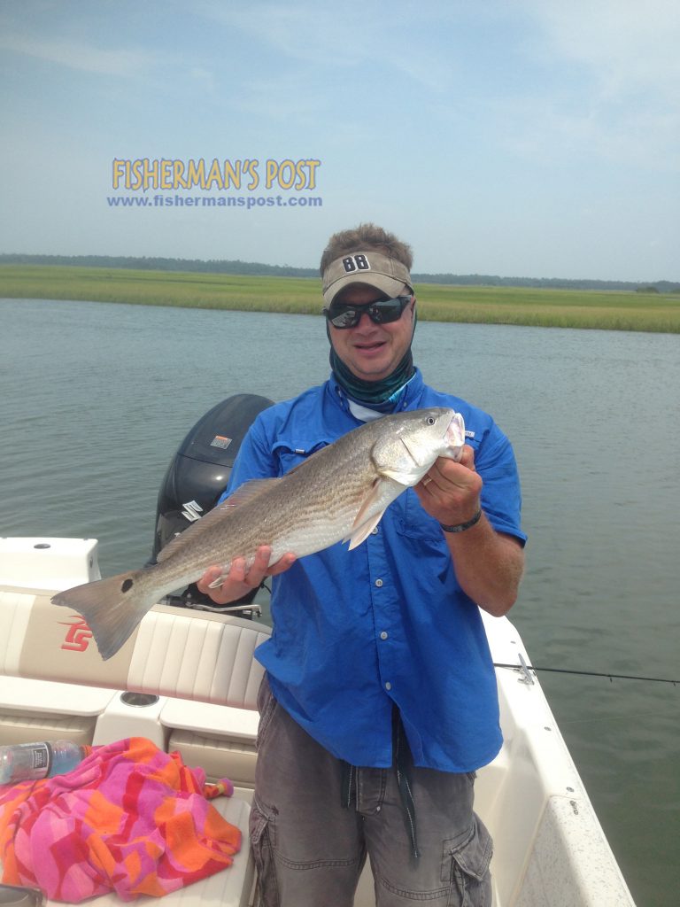 Brad Pottorff, of Jacksonville, NC, with a 26" red drum he hooked along a grass bank at New River Inlet on a live finger mullet.