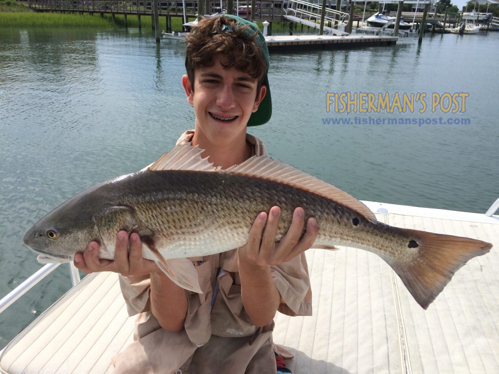 Max Wagenseller, of Wilmington, with a red drum that struck a live finger mullet while he was fishing behind Figure Eight Island.