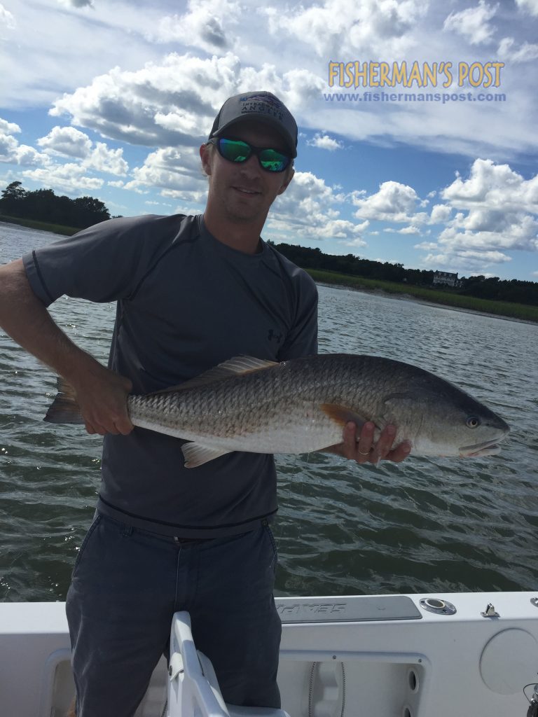 Chad Ferrell with a 31" red drum that bit a Carolina-rigged finger mullet while he was fishing around some Hampstead docks.