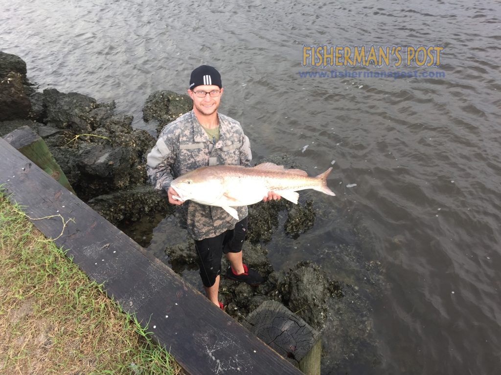 Austin Grinavic, of Wilmington, with a 40" red drum he caught and released in Snow's Cut after it bit a live finger mullet.