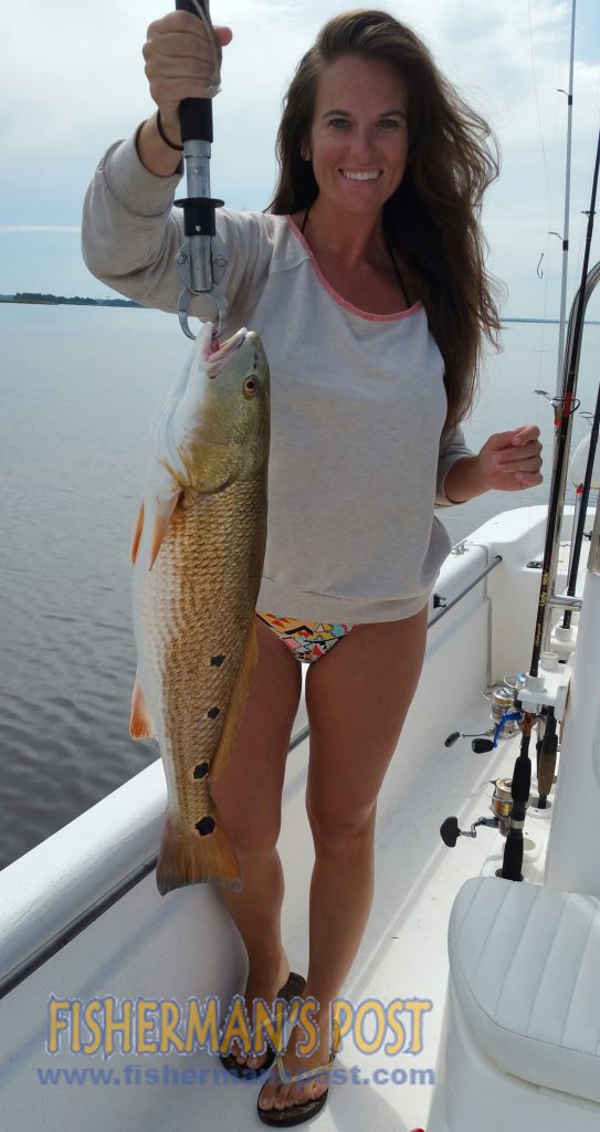 Ashley Marie, of Currie, NC, with a red drum that inhaled a white Gulp shrimp in the lower Cape Fear River while she was fishing with her boyfriend Nick King.