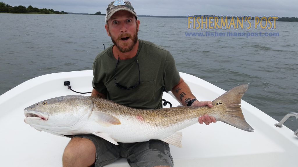 Shane Stewart, of Sneads Ferry, NC, with a 45" red drum that he landed after it bit a live finger mullet in the local ICW.