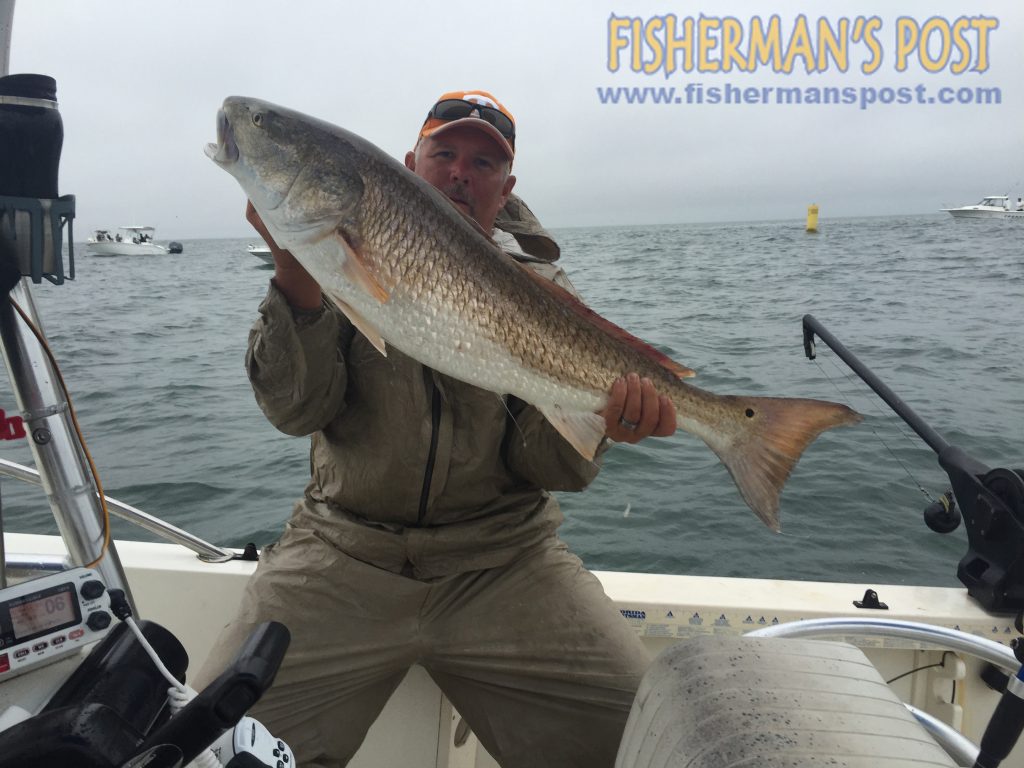 John Hilton, of Oak Island, with a 41" red drum he caught and released at Yaupon Reef after it attacked a live menhaden.