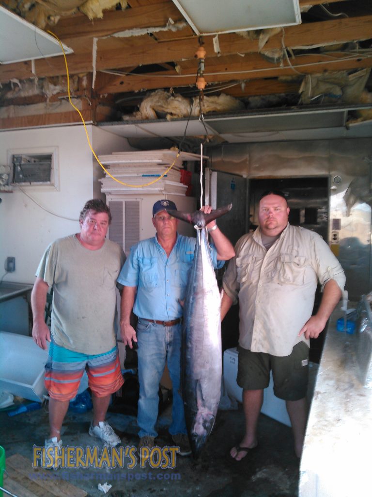 Brian Turnure, Kenny Sloan, and John Oglesby with a 71.6 lb. wahoo that attacked a live, skirted cigar minnow while they were trolling off Topsail Beach at AR-382. Weighed in at East Coast Sports.