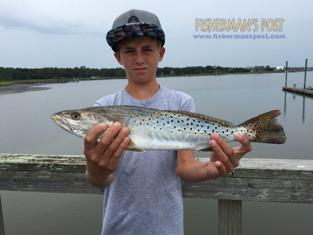 Field Melvin with a speckled trout that bit a live finger mullet off a dock in Myrtle Grove Sound.