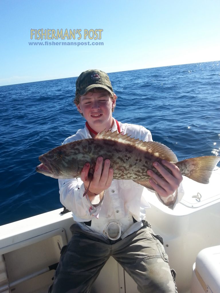 Aubrey Hunter, of Conway, SC, with his first grouper, a 19" gag he caught and released after it fell for a live pinfish 28 miles off Little River Inlet.