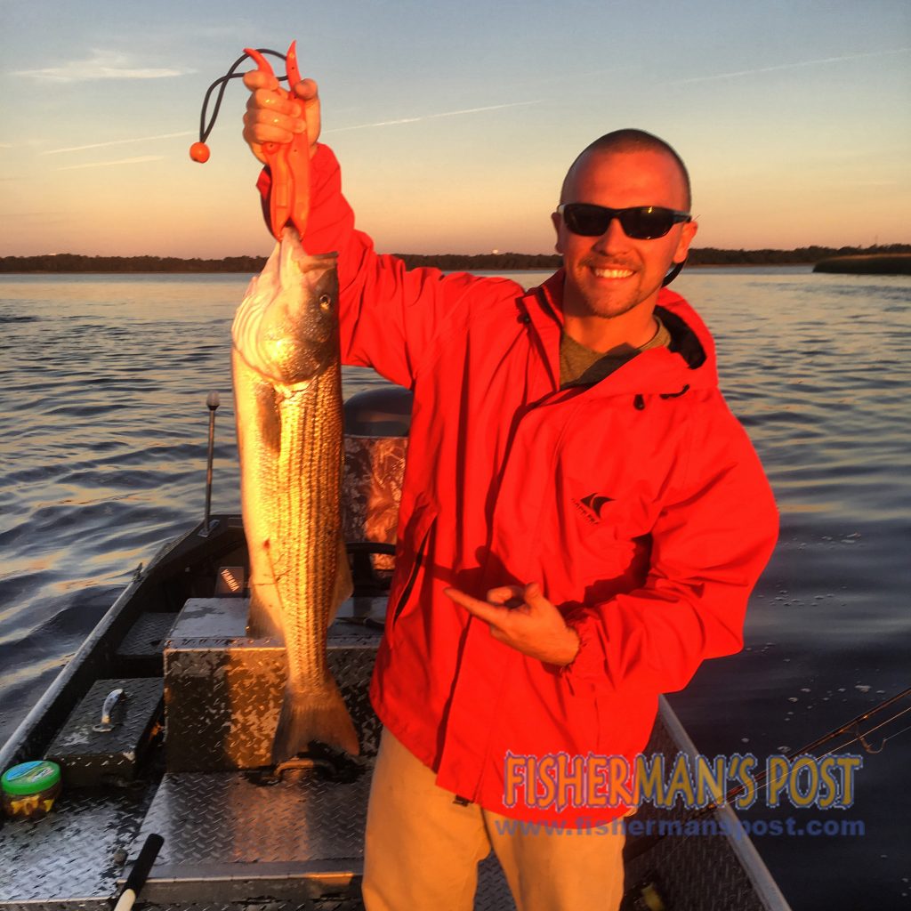 Brandon Mayo with a tagged striped bass he hooked near Southport on a live shrimp.