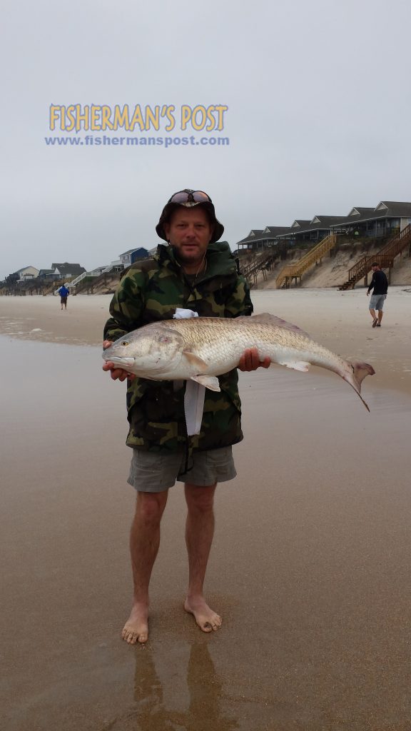 Brad Huffman, of Salisbury, NC, with a 42" red drum that he caught and released in the North Topsail Beach surf.