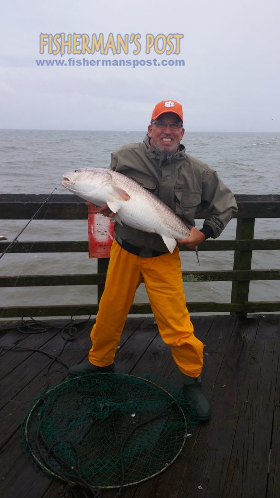 Boyd Wilson with a citation-class red drum that bit a spot head off the end of Surf City Pier.